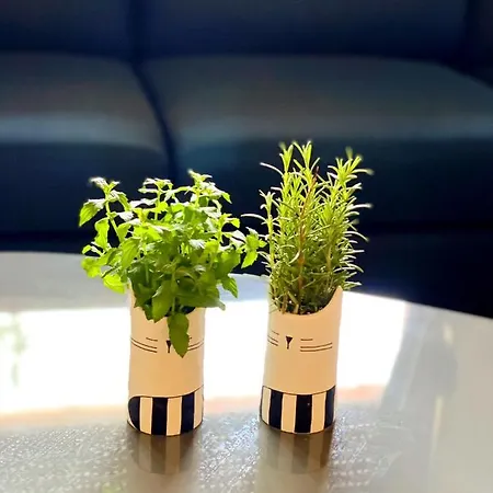 Kır Evi Blerina Ljaknasi