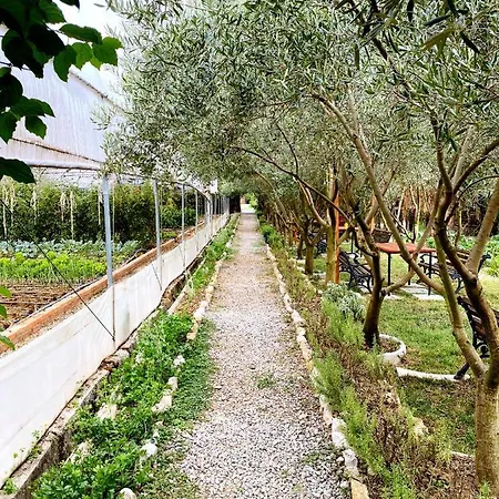 Blerina Country house