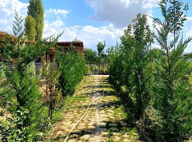 Blerina Εξοχικό σπίτι Ljaknasi