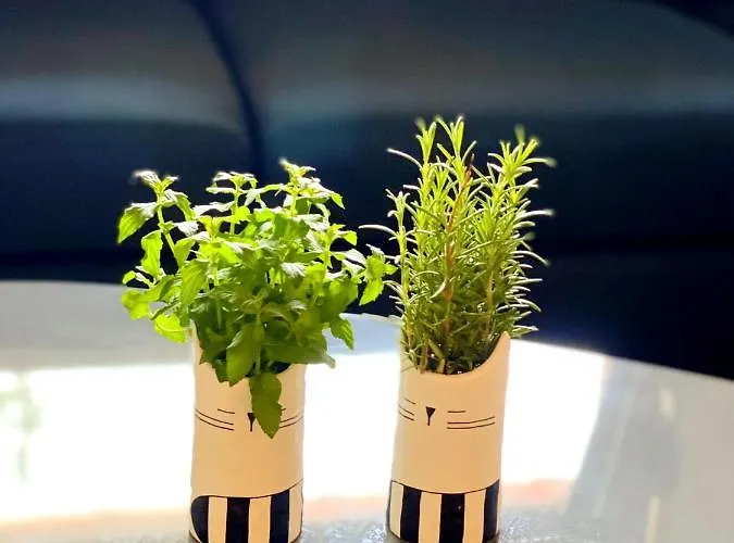 Landhuis Blerina Ljaknasi